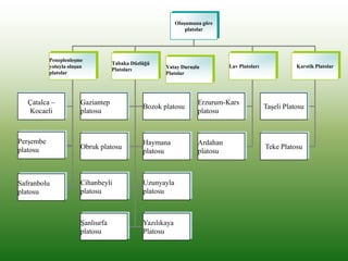 Oluşumuna göre
platolar
Peneplenleşme
yoluyla oluşan
platolar
Tabaka Düzlüğü
Platoları
Lav Platoları Karstik Platolar
Çatalca –
Kocaeli
Perşembe
platosu
Safranbolu
platosu
Gaziantep
platosu
Bozok platosu
Obruk platosu
Haymana
platosu
Cihanbeyli
platosu
Erzurum-Kars
platosu
Ardahan
platosu
Taşeli Platosu
Teke Platosu
Uzunyayla
platosu
Şanlıurfa
platosu
Yazılıkaya
Platosu
Yatay Duruşlu
Platolar
 