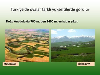 Türkiye’de ovalar farklı yükseltilerde görülür
Doğu Anadolu’da 700 m. den 2400 m. ye kadar çıkar.
MUŞ OVASI YÜKSEKOVA
 