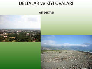 DELTALAR ve KIYI OVALARI
ASİ DELTASI
 