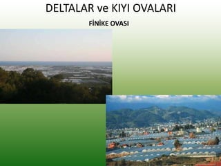 DELTALAR ve KIYI OVALARI
FİNİKE OVASI
 