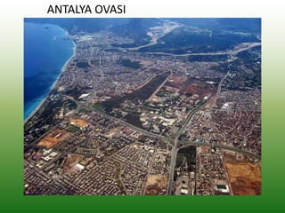 ANTALYA OVASI
 
