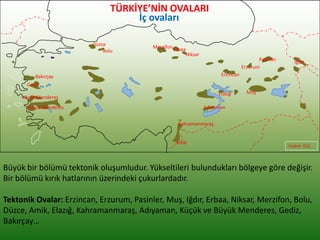 Büyük bir bölümü tektonik oluşumludur. Yükseltileri bulundukları bölgeye göre değişir.
Bir bölümü kırık hatlarının üzerindeki çukurlardadır.
Tektonik Ovalar: Erzincan, Erzurum, Pasinler, Muş, Iğdır, Erbaa, Niksar, Merzifon, Bolu,
Düzce, Amik, Elazığ, Kahramanmaraş, Adıyaman, Küçük ve Büyük Menderes, Gediz,
Bakırçay…
Kudret GÜL
Erzincan
Erzurum
Pasinler
Muş
Iğdır
Erbaa
Niksar
Elazığ
Merzifon
Bolu
Düzce
Amik
Kahramanmaraş
Adıyaman
Küçük Menderes
Büyük Menderes
Gediz
Bakırçay
TÜRKİYE’NİN OVALARI
İç ovaları
 