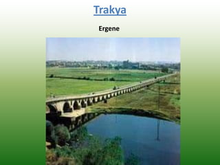 Trakya
Ergene
 