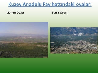 Kuzey Anadolu Fay hattındaki ovalar:
Gönen Ovası Bursa Ovası
 