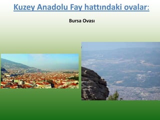 Kuzey Anadolu Fay hattındaki ovalar:
Bursa Ovası
 