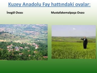 Kuzey Anadolu Fay hattındaki ovalar:
İnegöl Ovası Mustafakemalpaşa Ovası
 