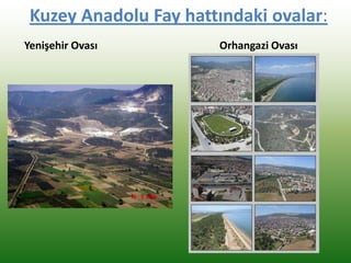 Kuzey Anadolu Fay hattındaki ovalar:
Yenişehir Ovası Orhangazi Ovası
 