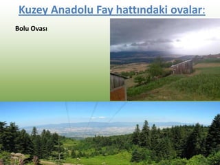 Kuzey Anadolu Fay hattındaki ovalar:
Bolu Ovası
 
