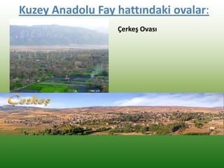 Kuzey Anadolu Fay hattındaki ovalar:
Çerkeş Ovası
 
