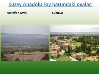 Kuzey Anadolu Fay hattındaki ovalar:
Merzifon Ovası Suluova
 