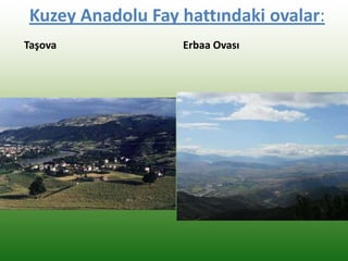 Kuzey Anadolu Fay hattındaki ovalar:
Taşova Erbaa Ovası
 