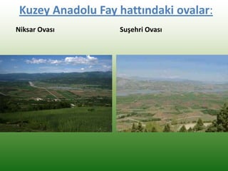 Kuzey Anadolu Fay hattındaki ovalar:
Niksar Ovası Suşehri Ovası
 