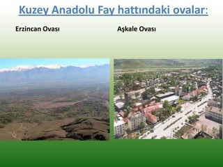 Kuzey Anadolu Fay hattındaki ovalar:
Erzincan Ovası Aşkale Ovası
 