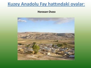 Kuzey Anadolu Fay hattındaki ovalar:
Horasan Ovası
 