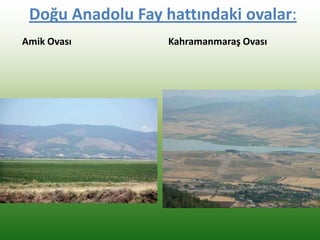 Doğu Anadolu Fay hattındaki ovalar:
Amik Ovası Kahramanmaraş Ovası
 