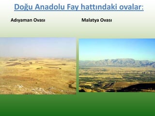 Doğu Anadolu Fay hattındaki ovalar:
Adıyaman Ovası Malatya Ovası
 