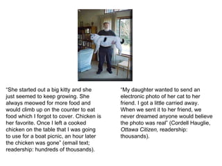 “ She started out a big kitty and she just seemed to keep growing. She always meowed for more food and would climb up on the counter to eat food which I forgot to cover. Chicken is her favorite. Once I left a cooked chicken on the table that I was going to use for a boat picnic, an hour later the chicken was gone” (email text; readership: hundreds of thousands). “ My daughter wanted to send an electronic photo of her cat to her friend. I got a little carried away. When we sent it to her friend, we never dreamed anyone would believe the photo was real” (Cordell Hauglie,  Ottawa Citizen,  readership: thousands).   