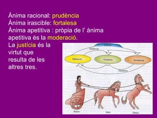 Ànima racional:  prudència Ànima irascible:  fortalesa Ànima apetitiva : pròpia de l’ ànima apetitiva és la  moderació . La  justícia  és la  virtut que  resulta de les  altres tres. 