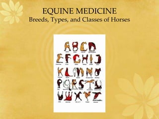 EQUINE MEDICINE
Breeds, Types, and Classes of Horses
 