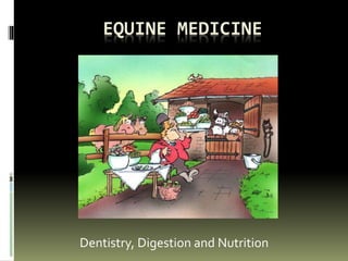 EQUINE MEDICINE
Dentistry, Digestion and Nutrition
 