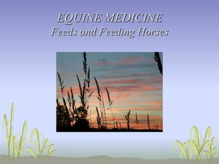 EQUINE MEDICINE
Feeds and Feeding Horses
 