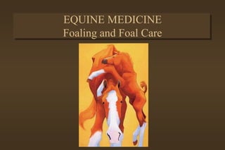 EQUINE MEDICINE
Foaling and Foal Care
 
