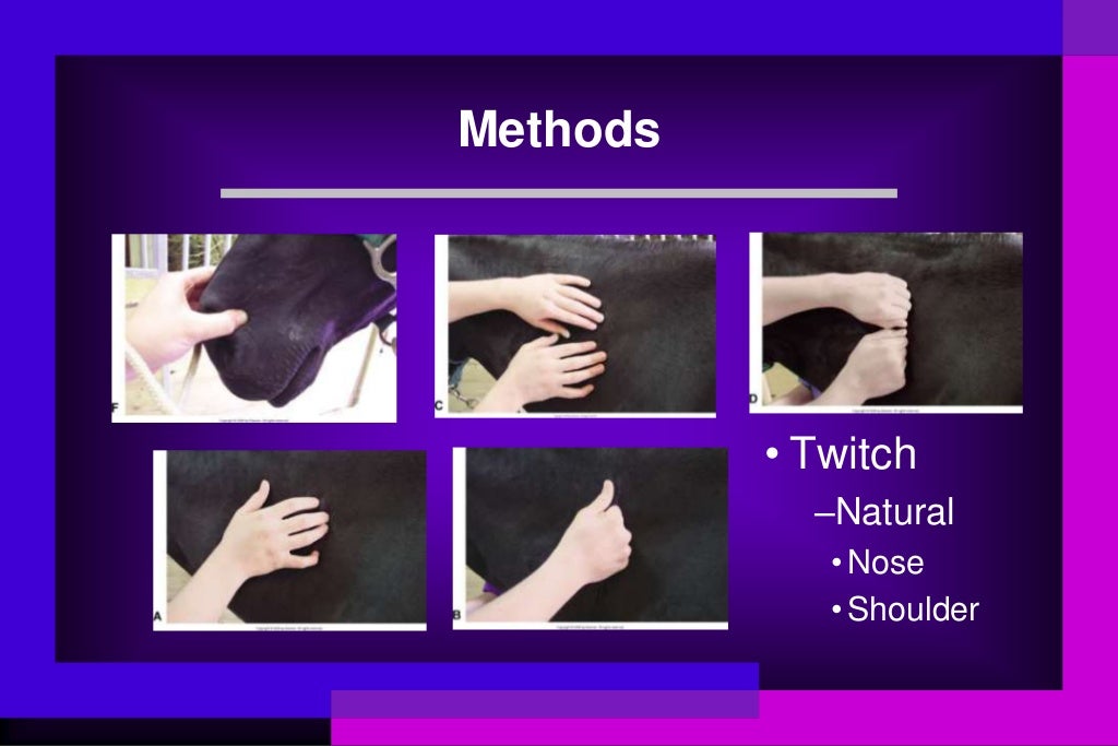 Proper Restraint Techniques