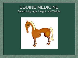 EQUINE MEDICINE
Determining Age, Height, and Weight
 