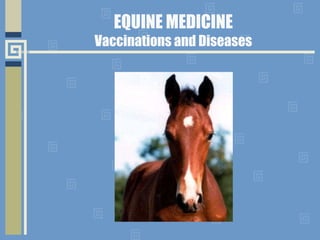 EQUINE MEDICINE
Vaccinations and Diseases
 