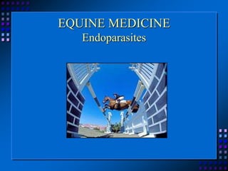 EQUINE MEDICINE
Endoparasites
 