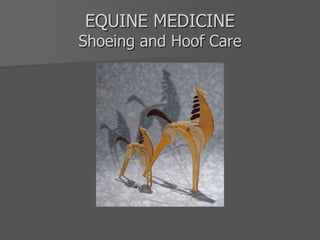 EQUINE MEDICINE
Shoeing and Hoof Care
 