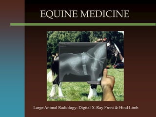 EQUINE MEDICINE
Large Animal Radiology: Digital X-Ray Front & Hind Limb
 