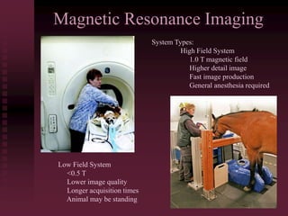Magnetic Resonance Imaging
System Types:
High Field System
1.0 T magnetic field
Higher detail image
Fast image production
General anesthesia required
Low Field System
<0.5 T
Lower image quality
Longer acquisition times
Animal may be standing
 
