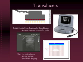 Transducers
Linear Array Scan-Rectangular-shaped image
Alternate pulse on groups of crystals
Use: Unrestricted areas
Equine tendons
Transrectal imaging
 