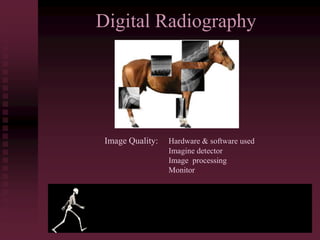 Digital Radiography
Image Quality: Hardware & software used
Imagine detector
Image processing
Monitor
 
