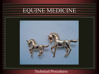 EQUINE MEDICINE
Technical Procedures
 