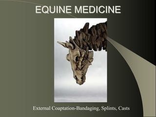 EQUINE MEDICINE
External Coaptation-Bandaging, Splints, Casts
 