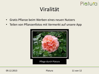 Viralität
• Gratis Pflanze beim Werben eines neuen Nutzers
• Teilen von Pflanzenfotos mit Vermerkt auf unsere App

Pflege durch Platura

09.12.2013

Platura

11 von 12

 