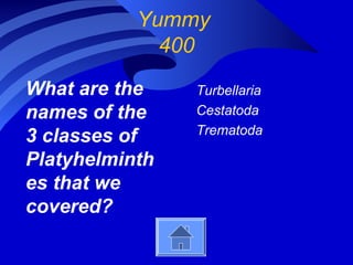 Yummy
400
What are the
names of the
3 classes of
Platyhelminth
es that we
covered?
Turbellaria
Cestatoda
Trematoda
 