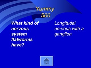 Yummy
500
What kind of
nervous
system
flatworms
have?
Longitudal
nervous with a
ganglion
 