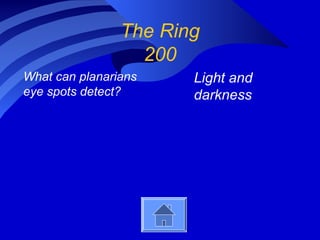 The Ring
200
What can planarians
eye spots detect?
Light and
darkness
 