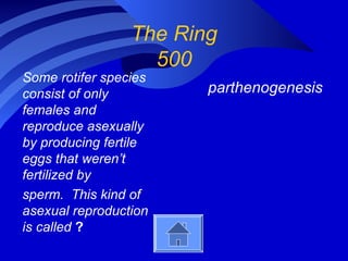 The Ring
500
Some rotifer species
consist of only
females and
reproduce asexually
by producing fertile
eggs that weren’t
fertilized by
sperm. This kind of
asexual reproduction
is called ?
parthenogenesis
 