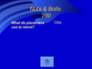 Nuts & Bolts
200
What do planarians
use to move?
Cilia
 