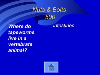 Nuts & Bolts
500
Where do
tapeworms
live in a
vertebrate
animal?
intestines
 