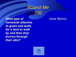 Round Me
200
What type of
nematode attaches
to grass and waits
for a host to walk
by and then they
burrow through
their skin?
Hook Worms
 
