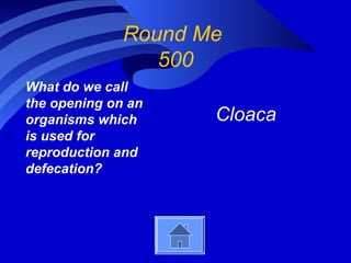 Round Me
500
What do we call
the opening on an
organisms which
is used for
reproduction and
defecation?
Cloaca
 