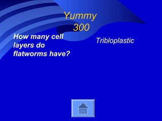 Yummy
300
How many cell
layers do
flatworms have?
Tribloplastic
 