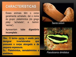 CARACTERÍSTICAS
• Esses animais têm o corpo
geralmente achatado, daí o nome
do grupo: platelmintos (do grego
platy: 'achatado'; e helmin:
'verme').
• Apresentam tubo digestório
incompleto ;
Obs.: O termo verme é usado para
designar invertebrados que
possuem o corpo alongado e de
pequena espessura.
Ex.: Platelmintos, nematelmintos e
anelídeos;
Taenia solium
Pseudoceros dimidiatus
 