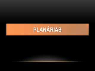 PLANÁRIAS
 