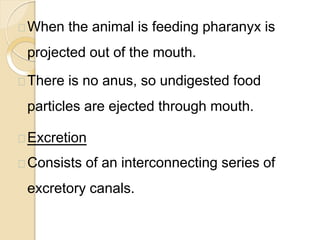 When the animal is feeding pharanyx is
projected out of the mouth.
There is no anus, so undigested food
particles are ejected through mouth.
Excretion
Consists of an interconnecting series of
excretory canals.
 